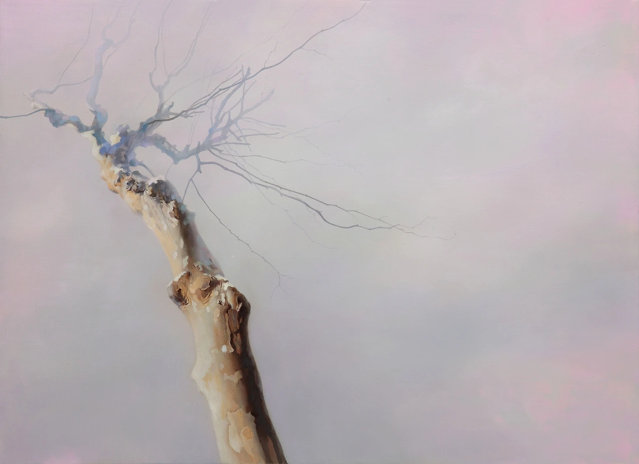 매끄럽고 포근한, 72.7X53.0, oil on canvas, 2016, 2.000.000.JPG