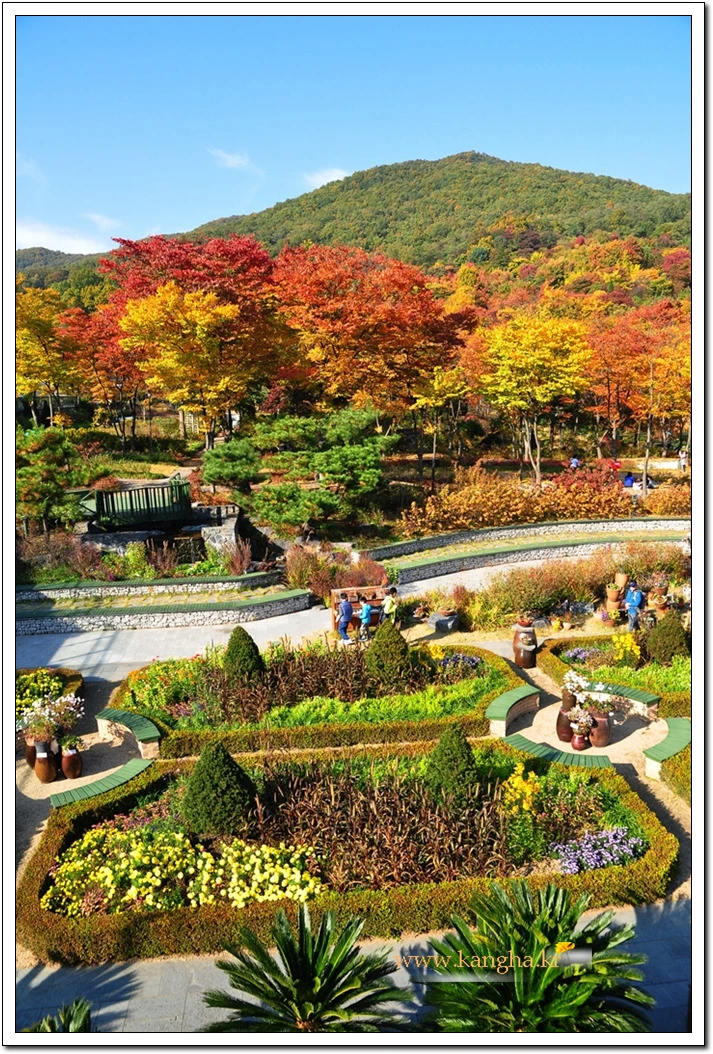 996E9A4E5BCDF00415D331