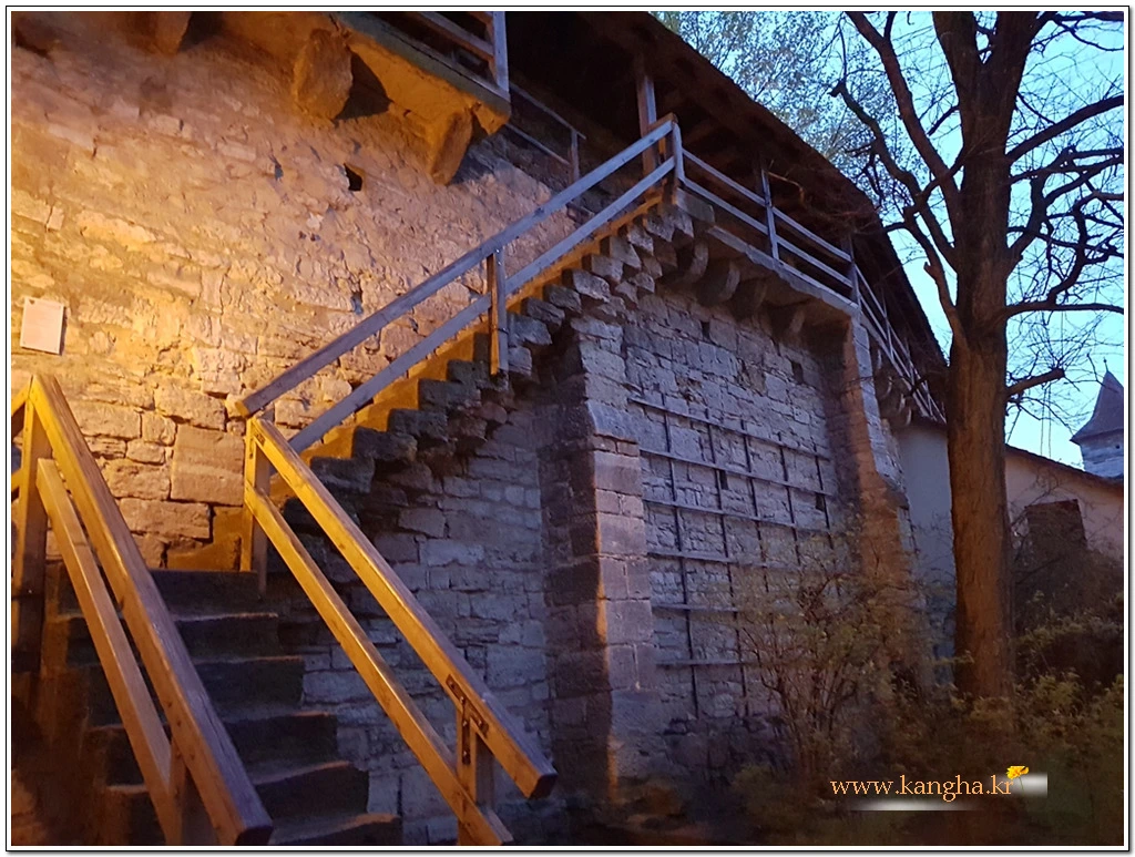 995B424D5B5542FA2B28BE