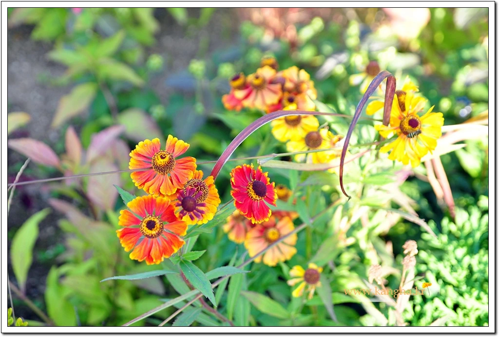 9934974E5BCDF0071BDD45