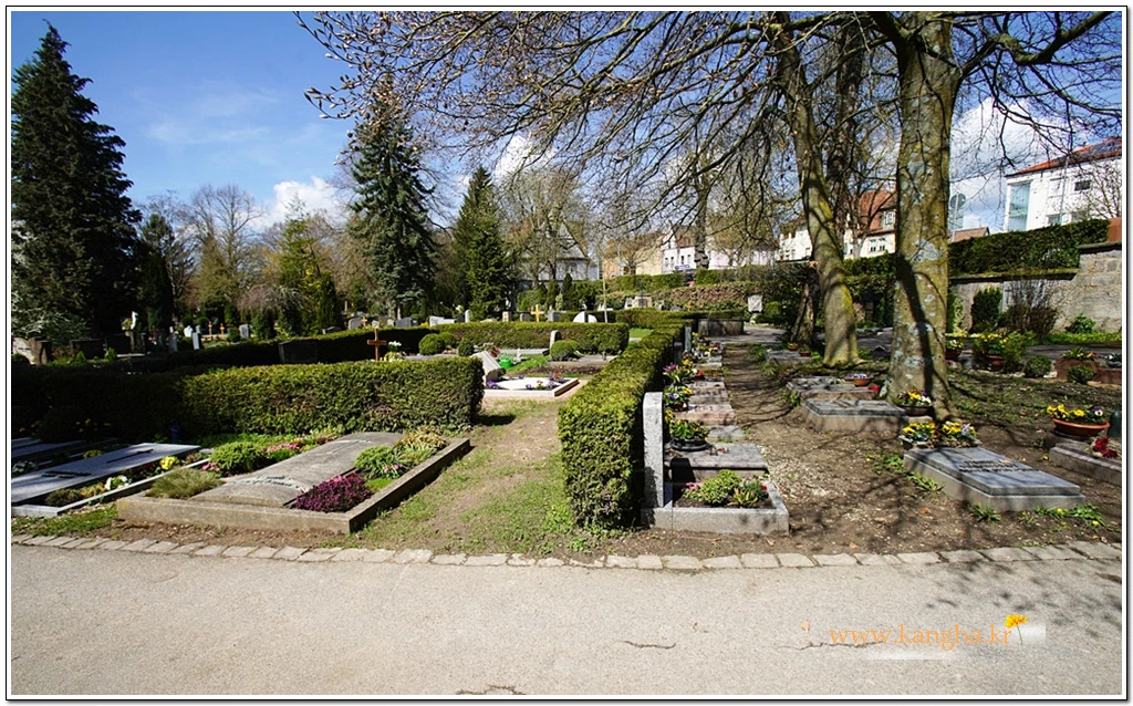 998419405B59F41D283135