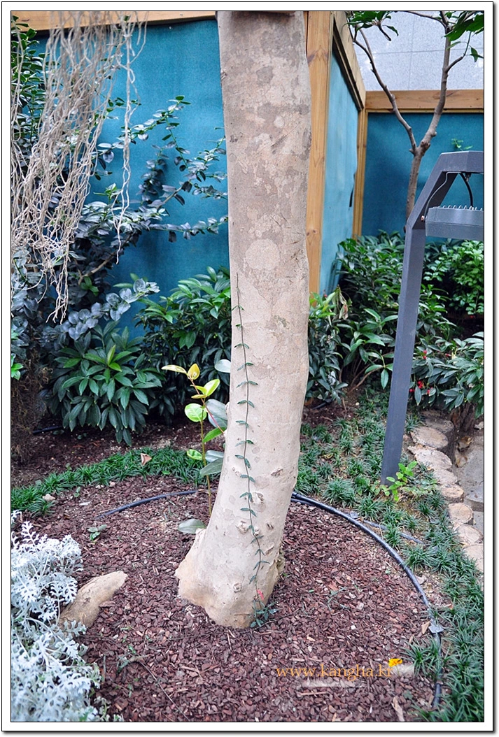 99FB0F4A5BCDF0082EFA0B