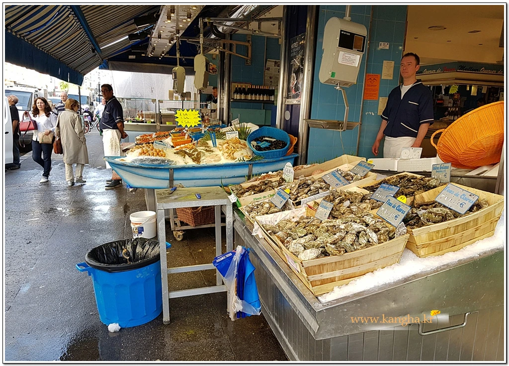 9971BB3E5B95E2220D094A