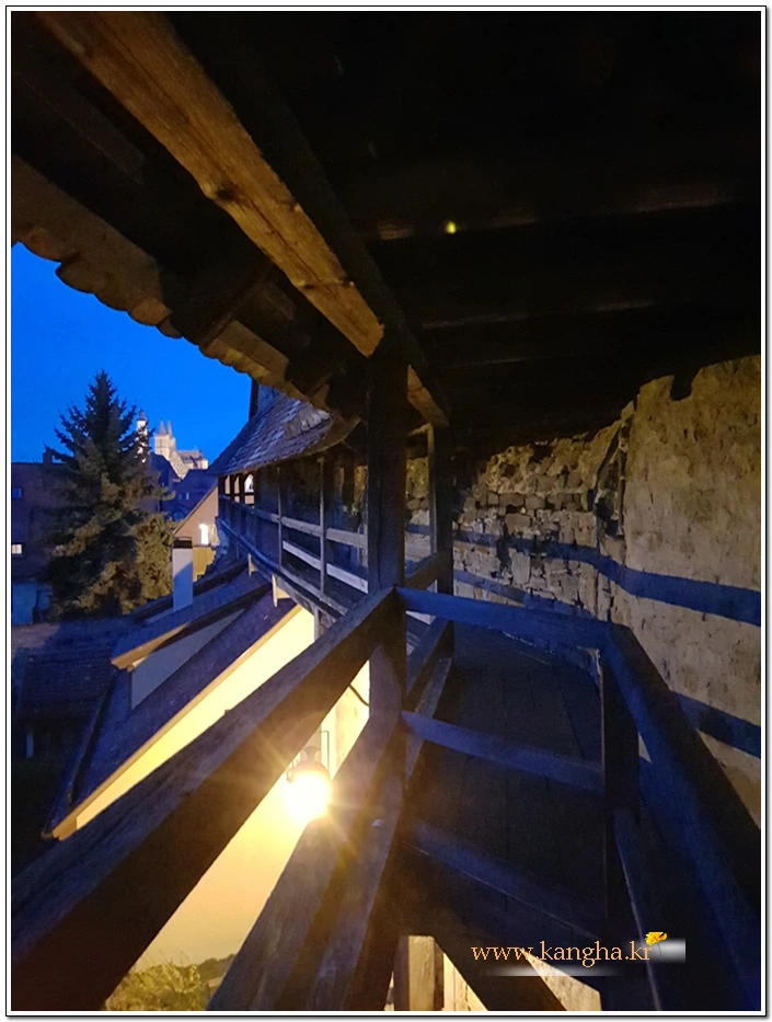 9981CC4D5B5542FA151053