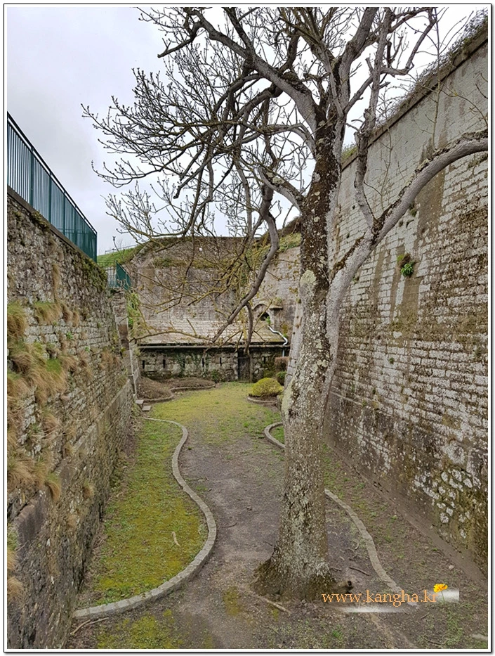 99BD64505B2A65D924F343