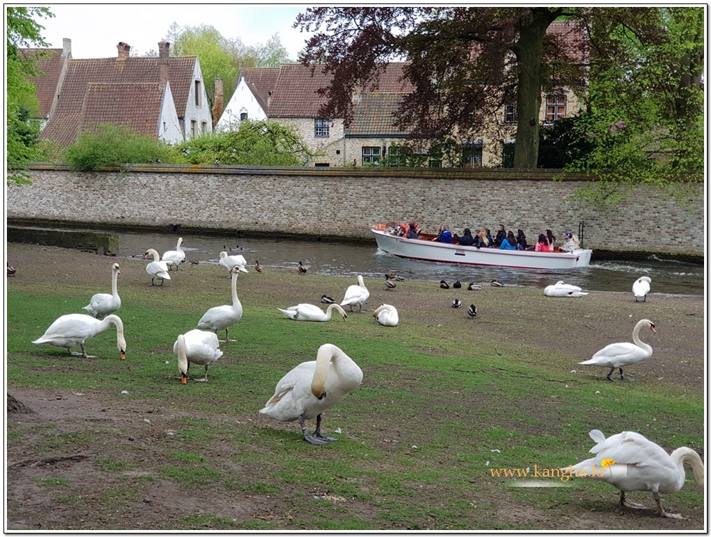 99A574495B75B6F70376F6