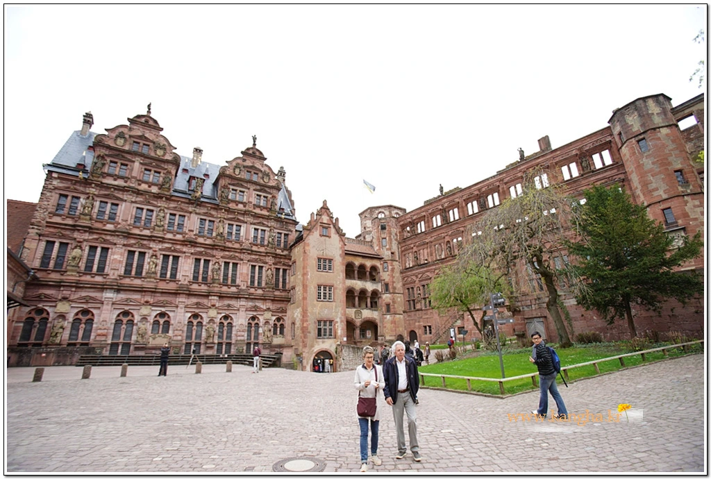 9950644B5B41BCF812E8CC