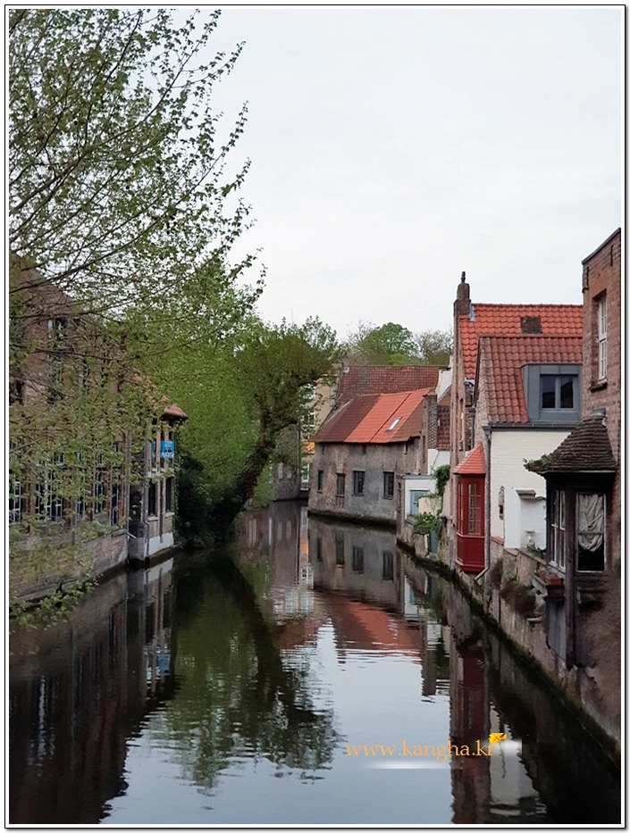 99A7204D5B75B18410F1B0