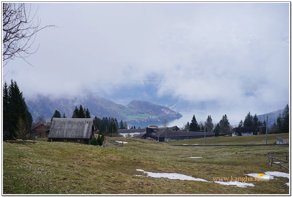 99C5093A5B63AFCB2D8824