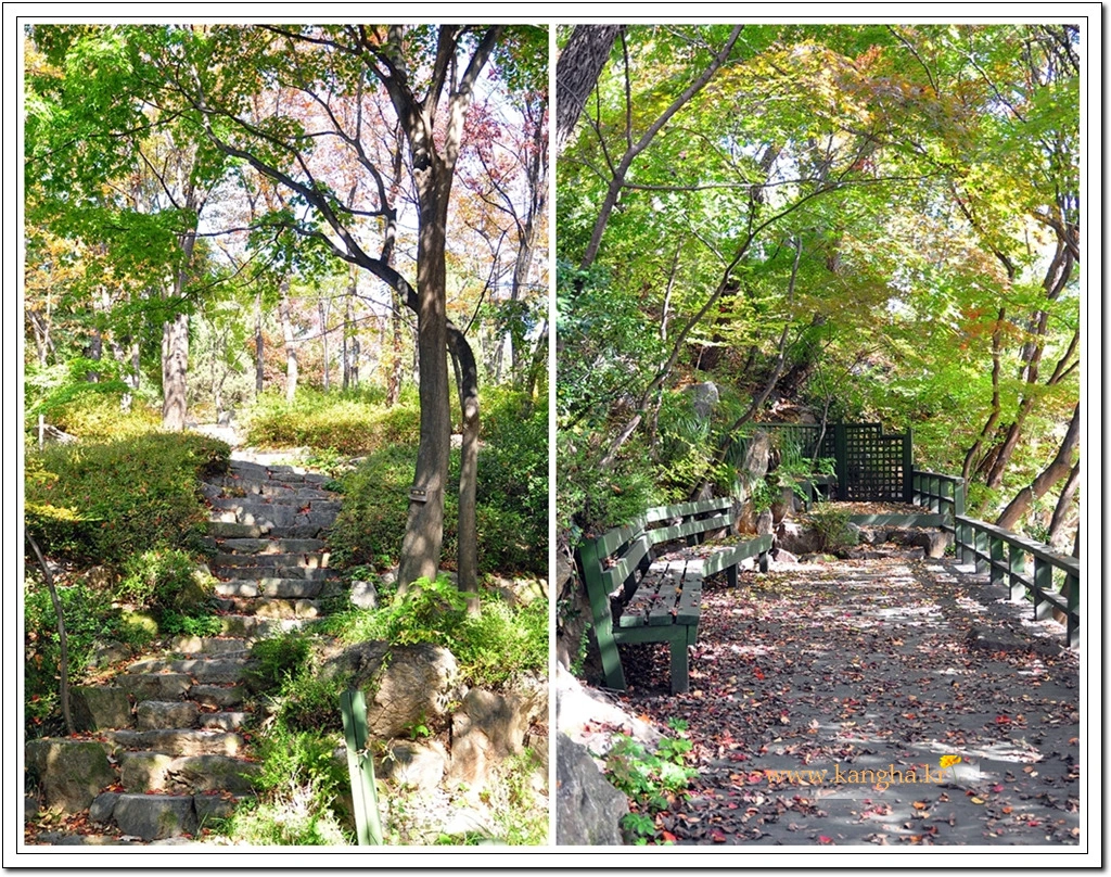 995DC14E5BCDF0054066A7