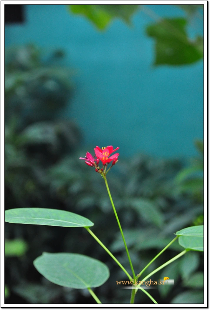 9985414E5BCDF0070A34BE