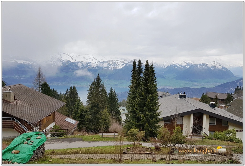 9951903C5B63B4623B1A66