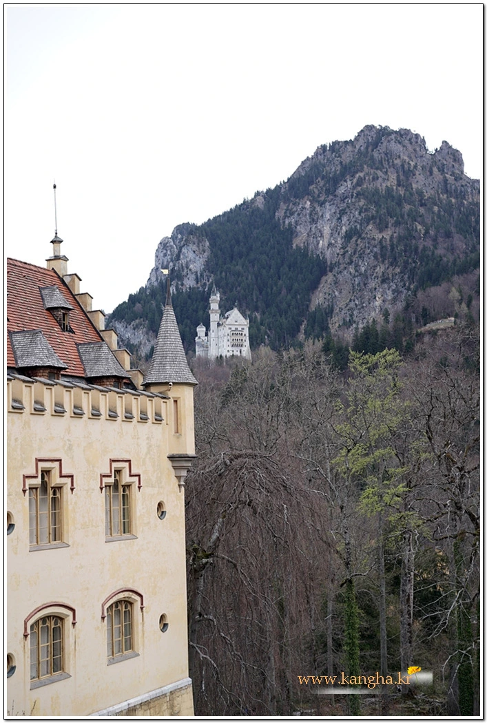 994E71415B5CB0420D8561