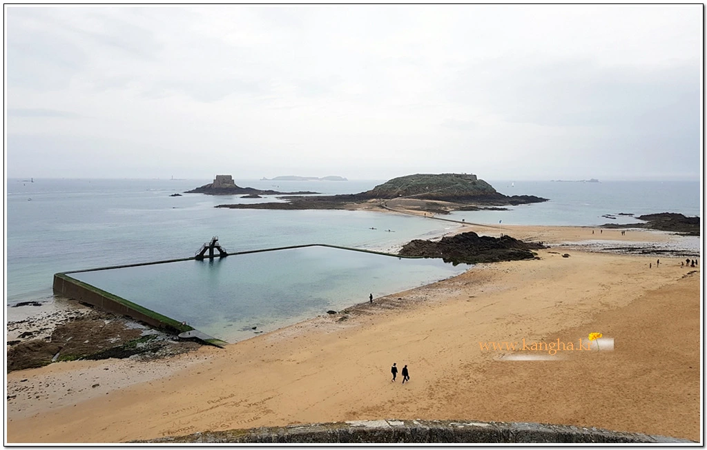 99D1BC365B2C5F543232E9