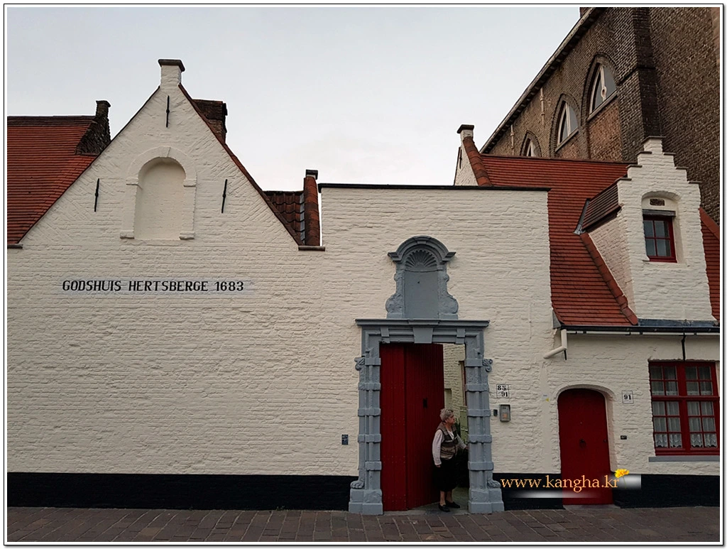 993EC2365B744801269B46