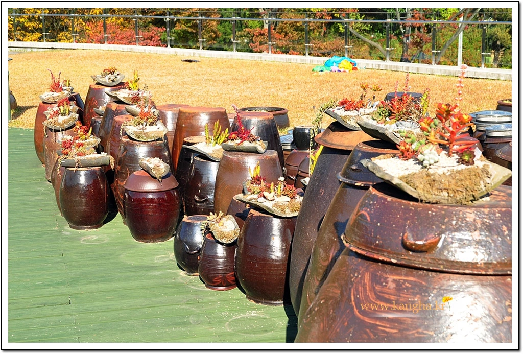 997C444E5BCDF0060D0598