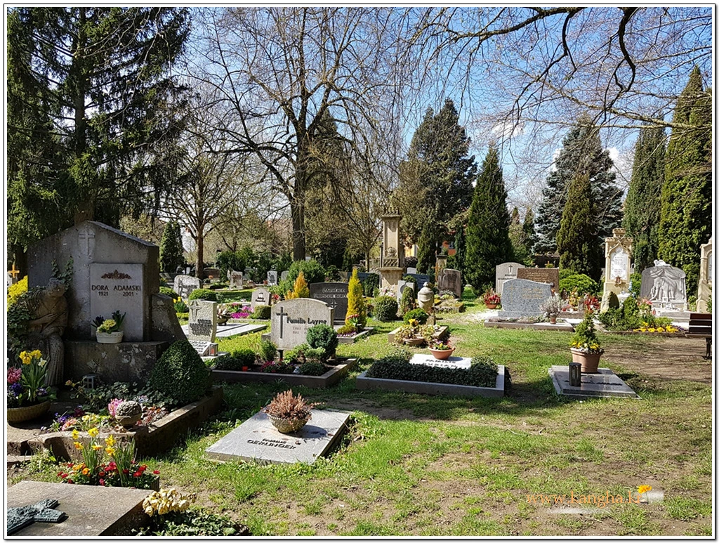 99A01E3E5B59F561290082