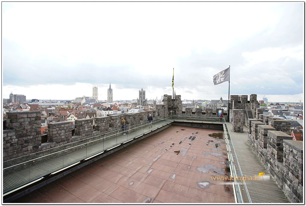 99D21B395B818880331355