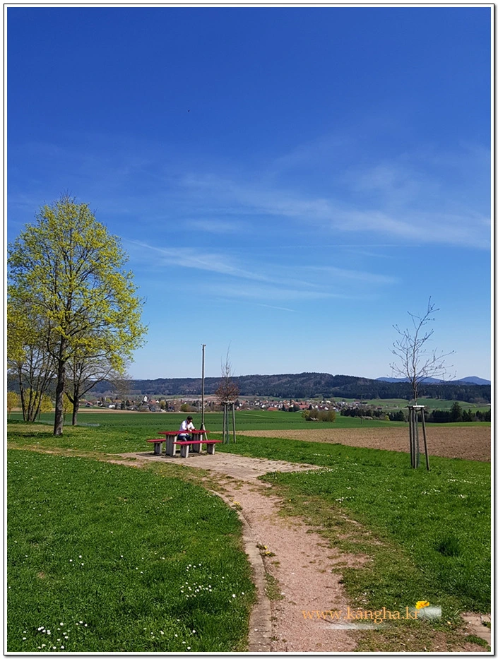 9983DC365B5DF6F32B388A