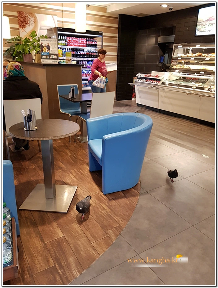 99101E495B38B4522DA99F