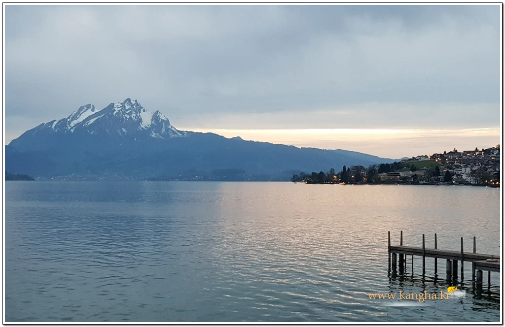 990FC34B5B5F46C22B4399