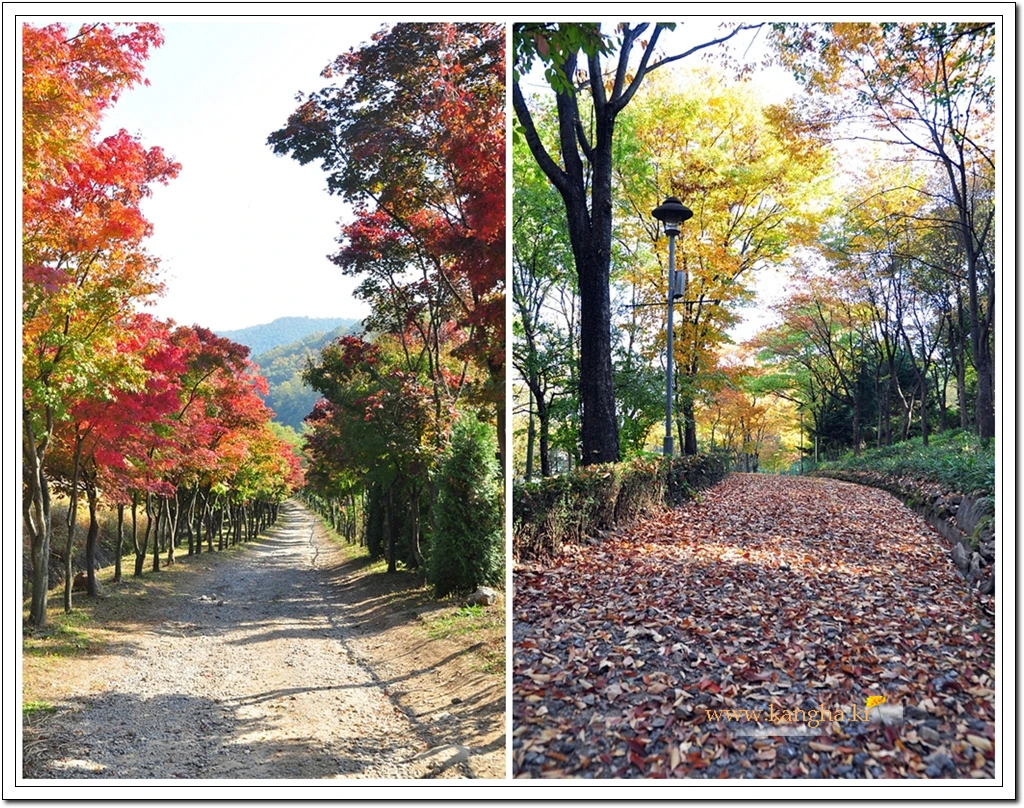 9981084E5BCDF006017DE3