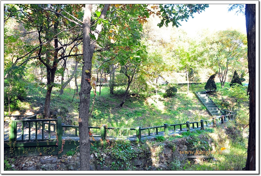 996C454E5BCDF0050B55A2