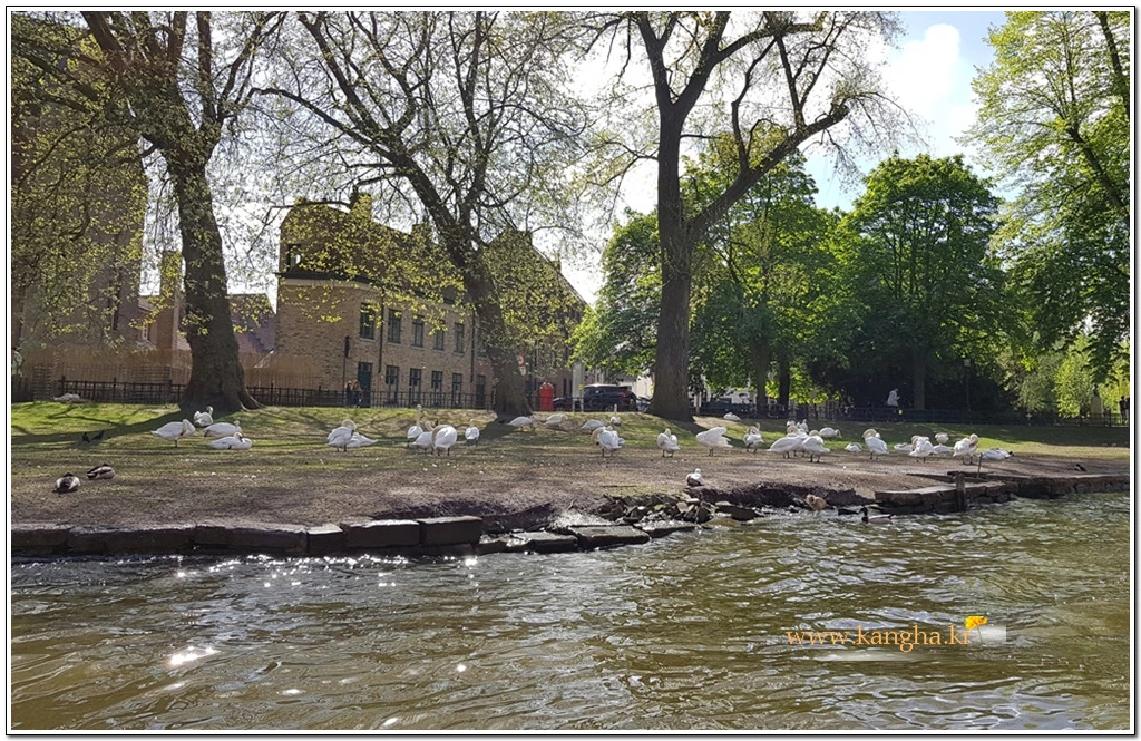 9965F9425B75B1532AC9CA