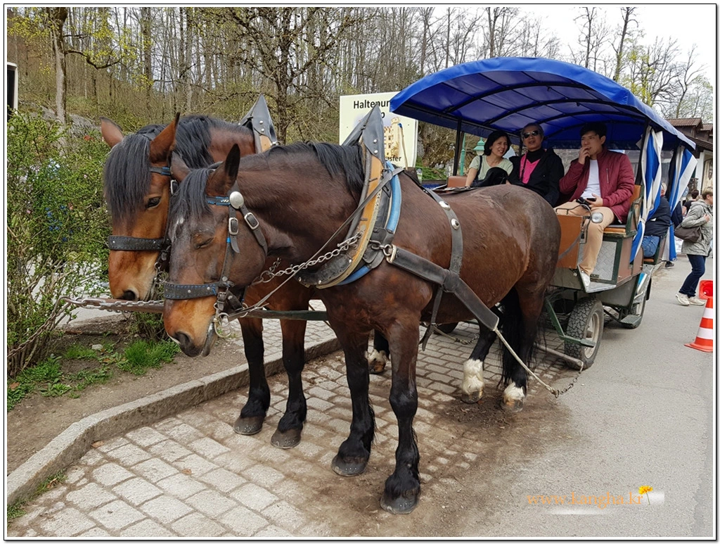 99347E385B5CABE4065A14