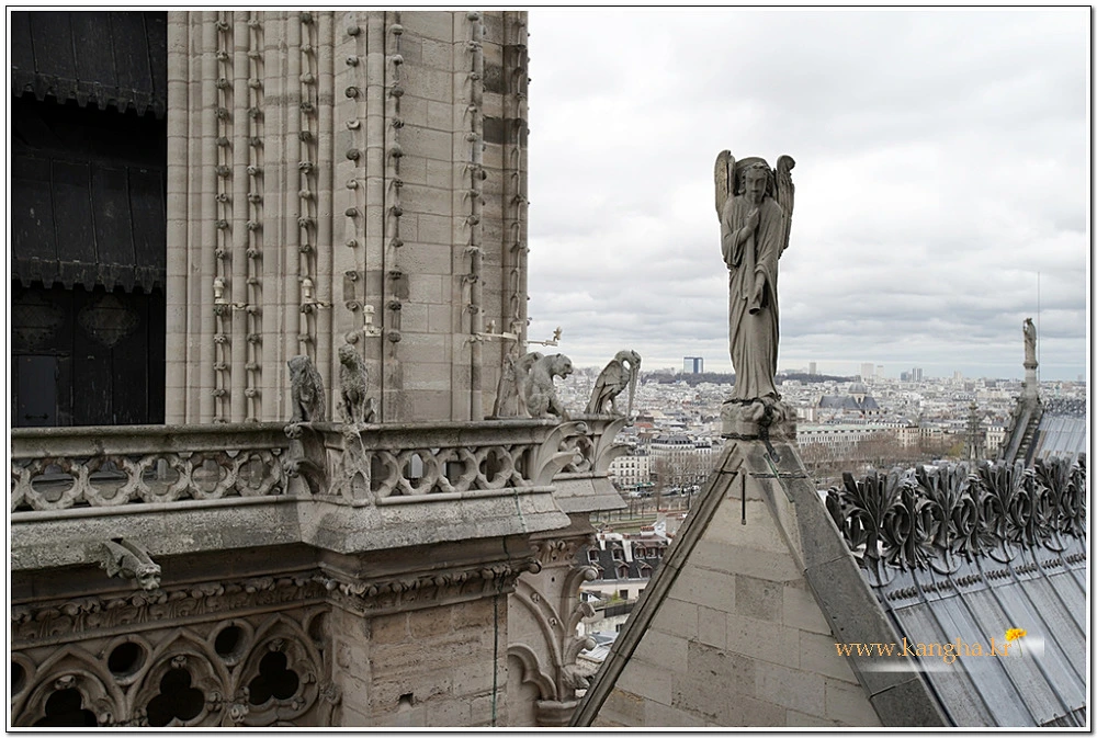 994FD53F5B240C0019B8ED