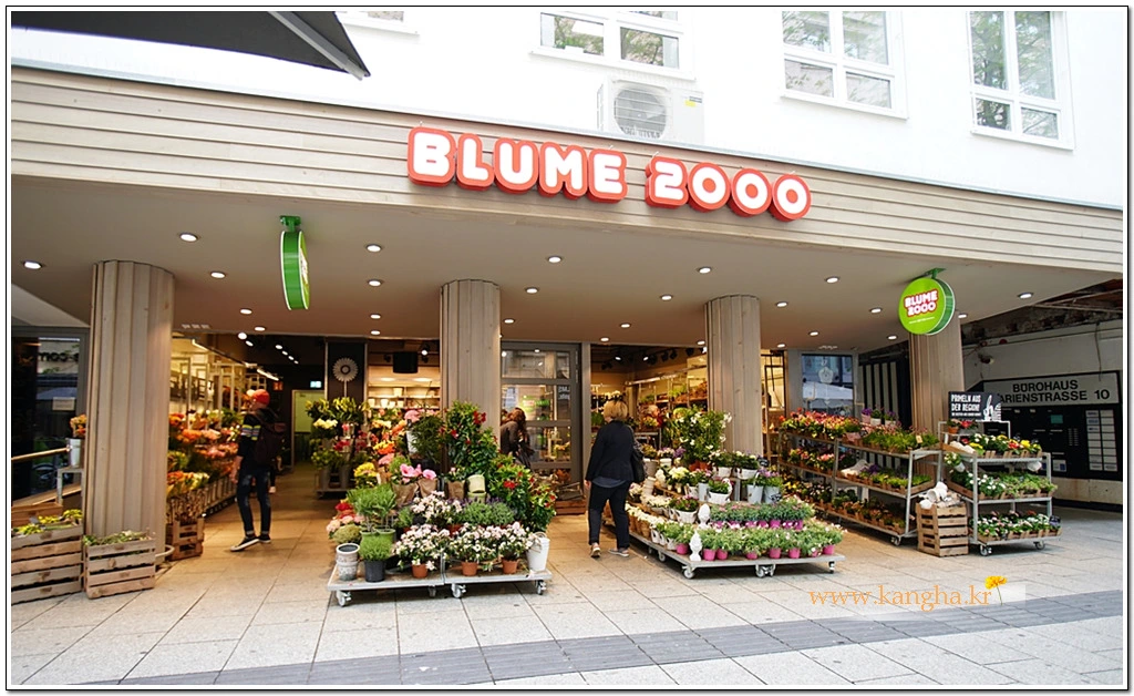 99411D4C5B37365D068CBB