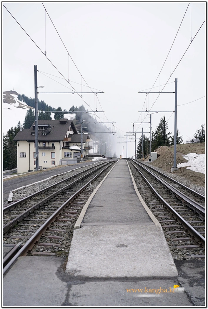 99D8C04E5B63A47D0CD8B5