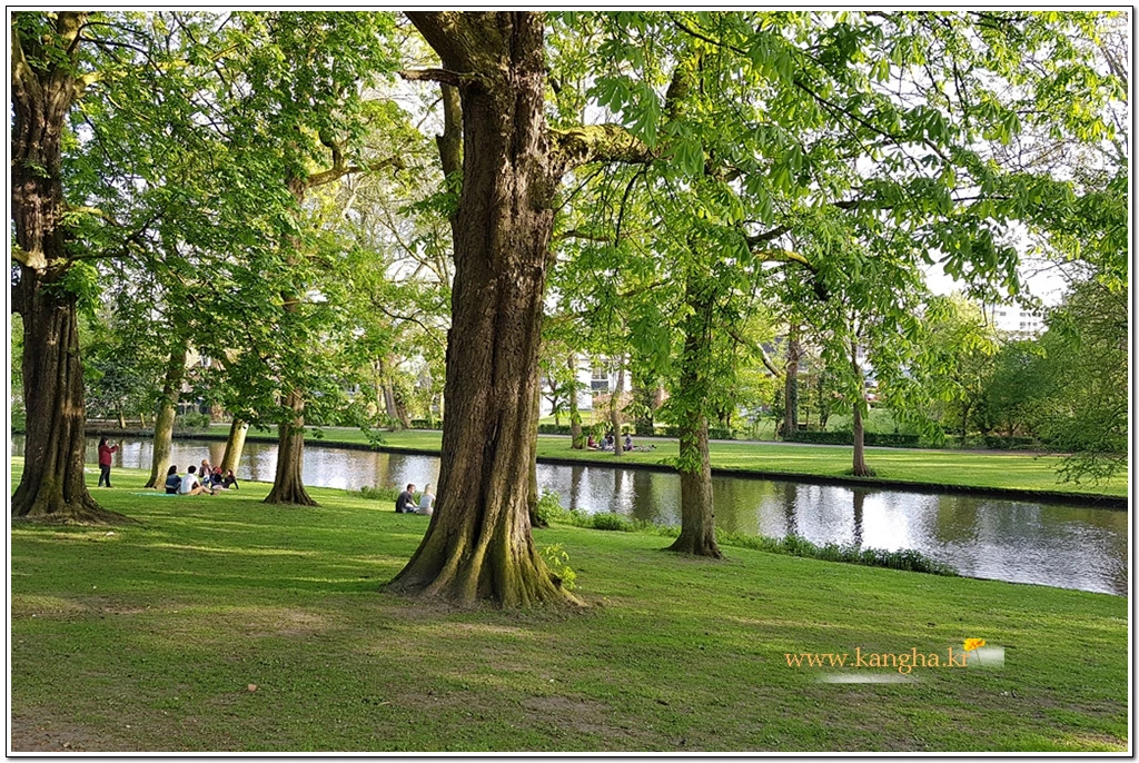 9966273E5B74314B26A9E4