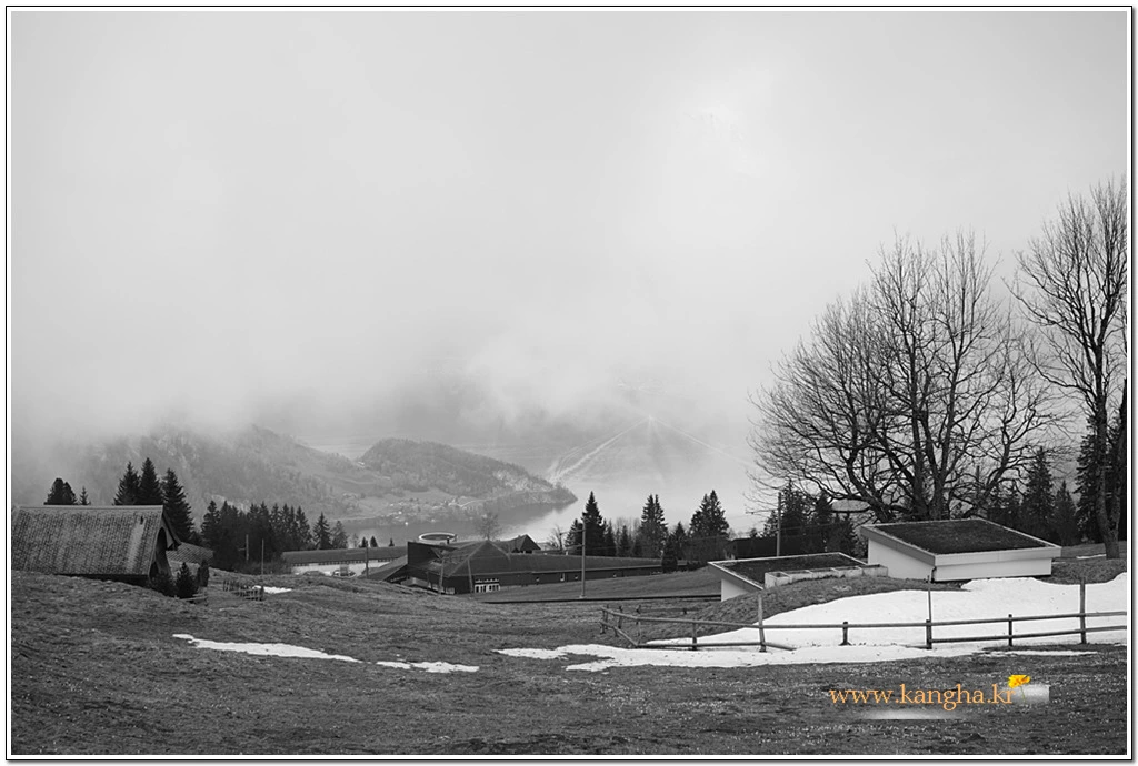 99217A4E5B63A47E167ACD