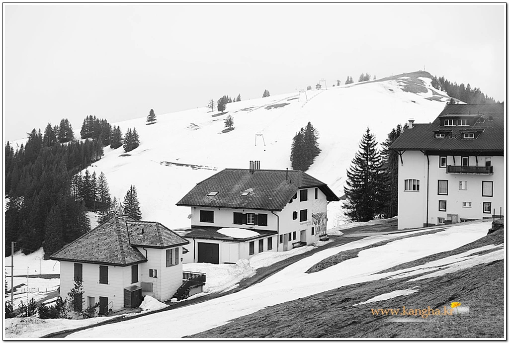 993BC7495B63A945267048