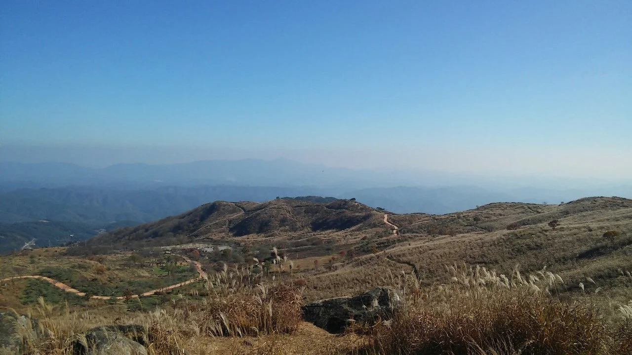 dhkmsS7-lgqKZdbFyhB2bTIPz0c