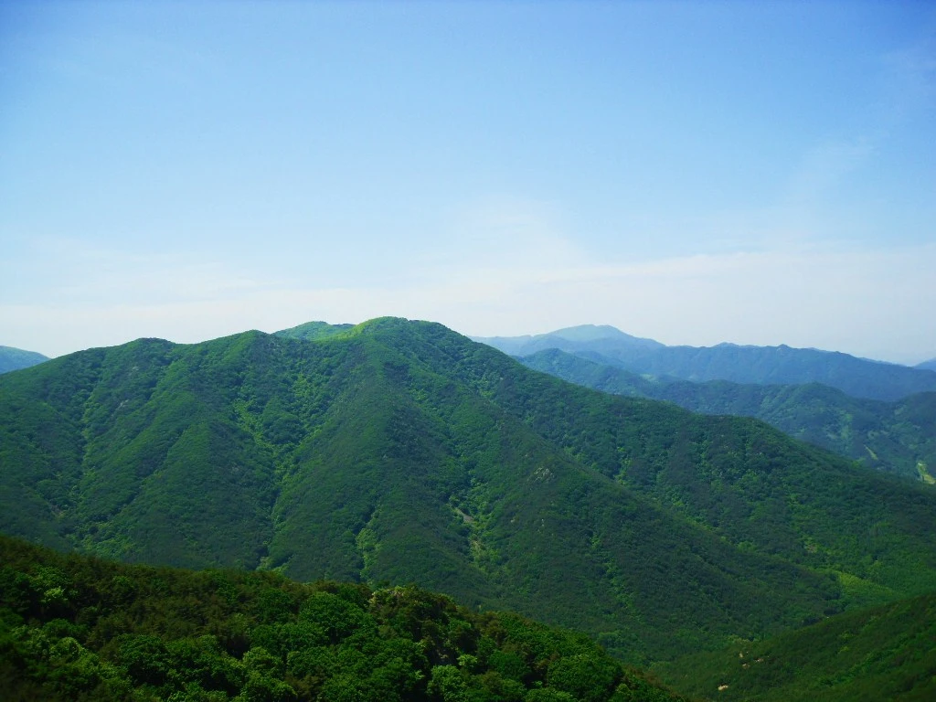 1246A73A5023882C20C656