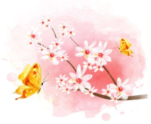 205CBA415134324D0BF8DA