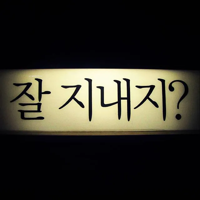 12826134_699173803557602_2043826220_n.jpg?ig_cache_key=MTIwMDY5ODUwNzMyNzY3MjY2Nw%3D%3D.2