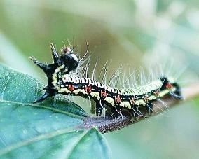 13327F234B55D53212F110