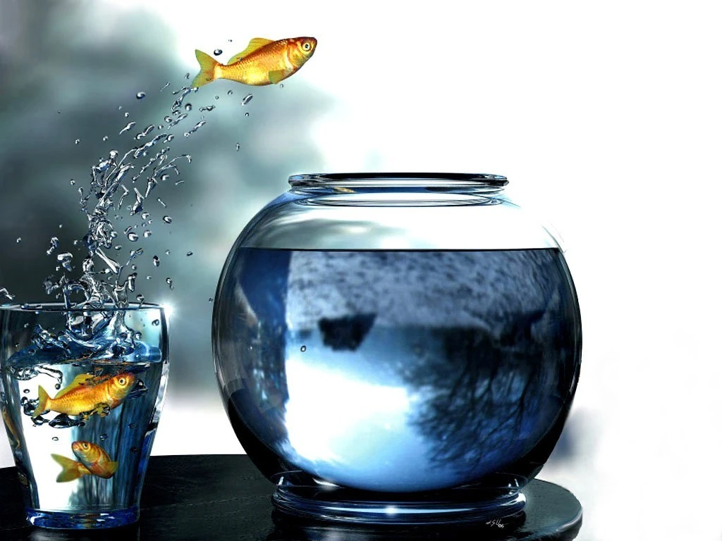 digital_art_goldfish_glass_fishbowls_fish_jumping_water_drops_water-186454.jpg!d