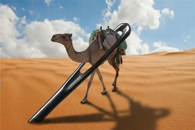 camel5.jpg