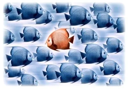 2440AF4A5214C25A23C929