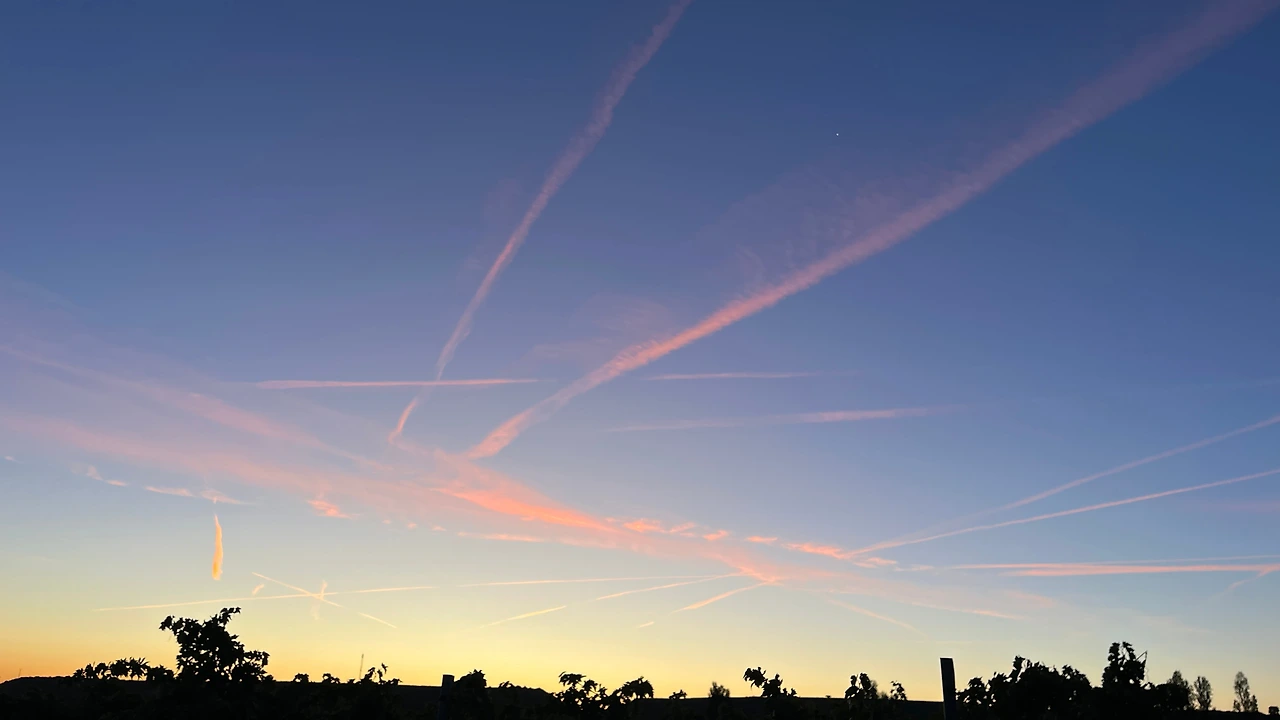 IMG_3637(1) - 복사본.JPG