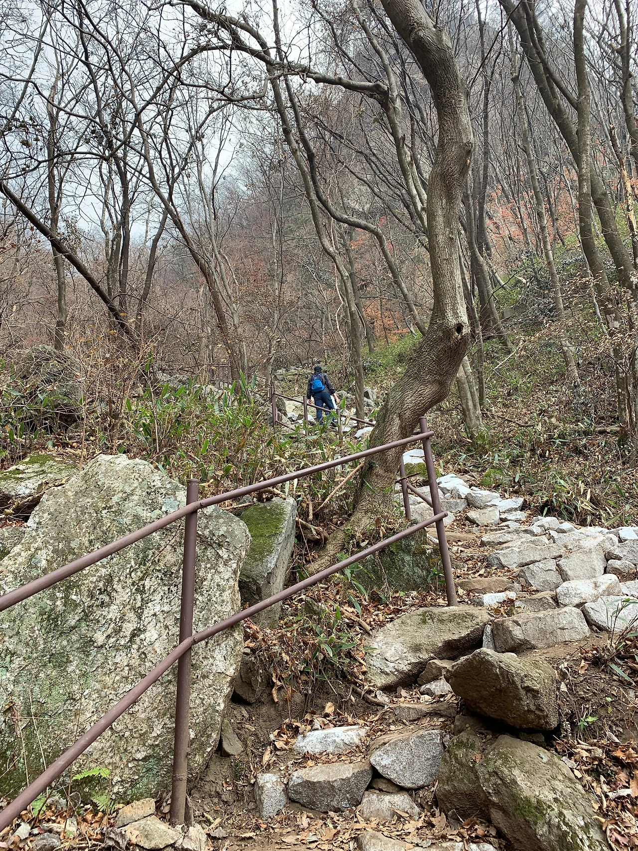 2-1. 어려운코스-황골삼거리까지 (3).JPG