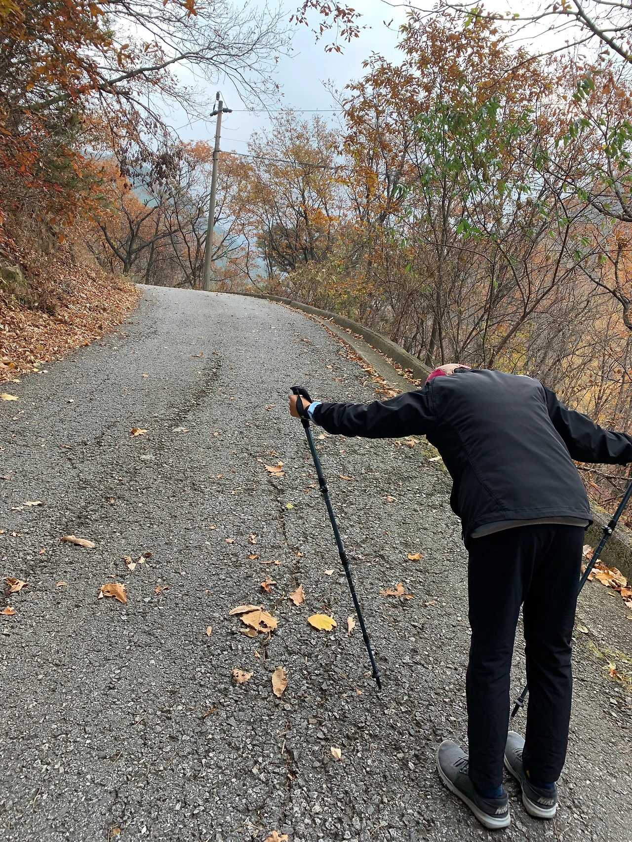 1. 황골탐방로 시작 (5).JPG