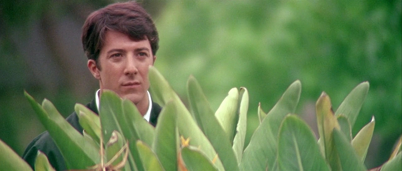 Graduate, the - 1967[(103707)2021-08-20-12-22-38].JPG