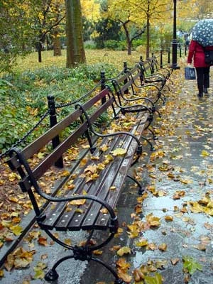 autumn benches.bmp