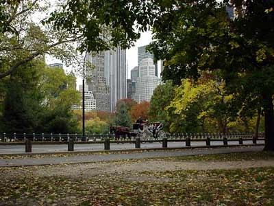 central park fall.bmp