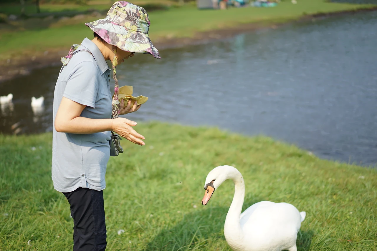 04. Lake Sidata 04.JPG